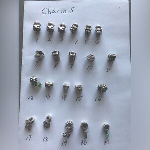 Silver Charm Beads Collection